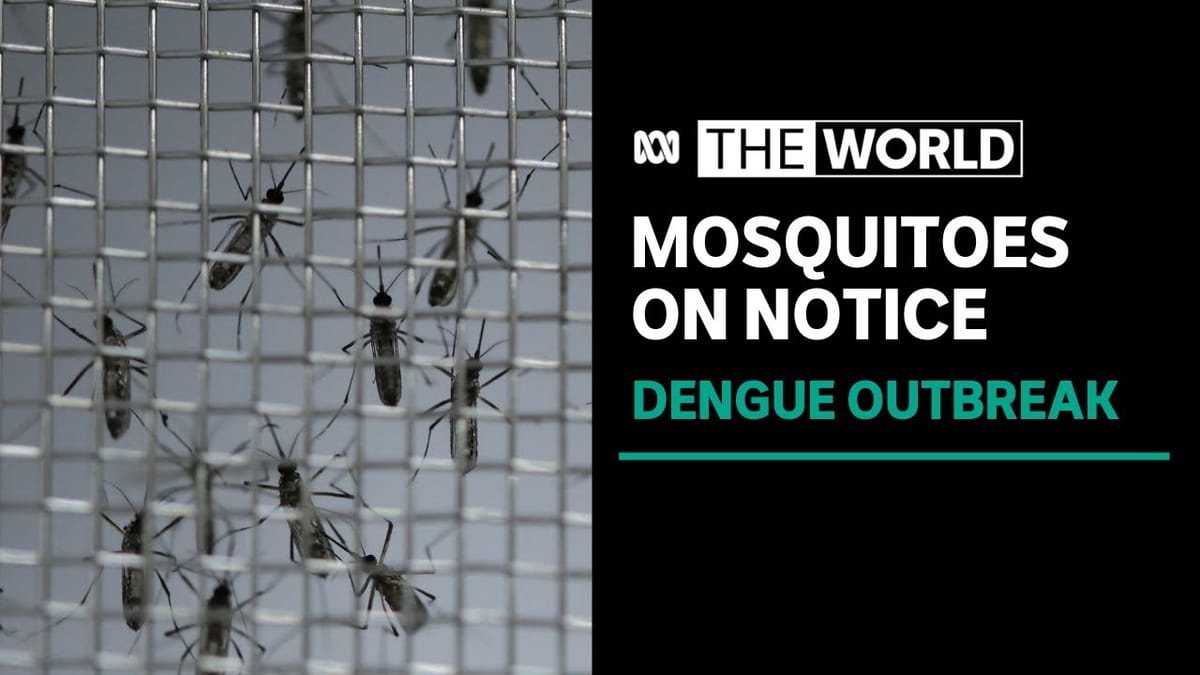Brazil trials killer gene to tackle mosquitoes spreading dengue fever