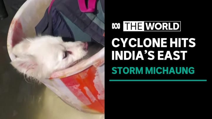 Torrential rain brings flooding, fatalities as cyclone makes landfall in India