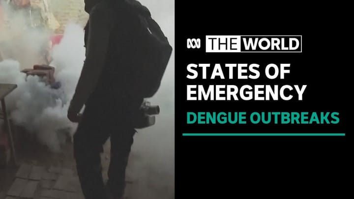 Puerto Rico becomes latest place to declare dengue emergency